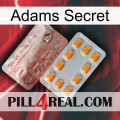 Adams Secret new13